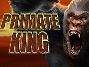 Primate King thumbnail